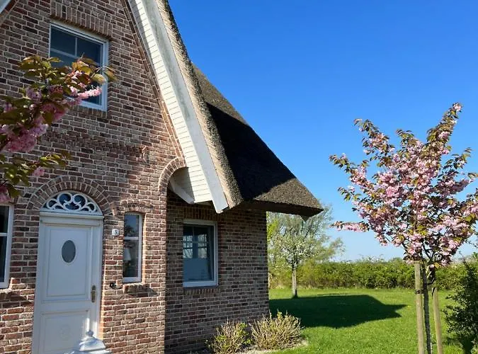 صورة Reethaus Meerferien Direkt Am Wasser Mellnitz