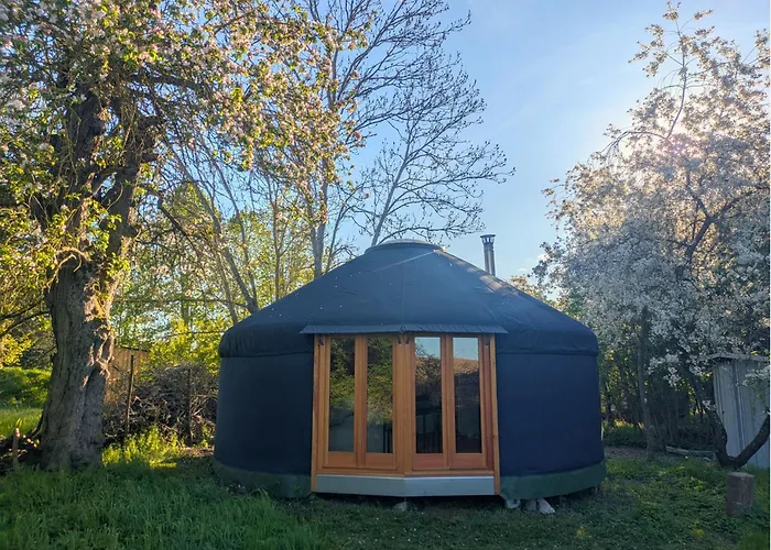 Lindenberg  Entschleunigung Pur - Gemuetliche Jurte Im Gruenen 빌라 사진