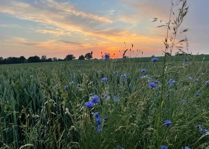 Ferienhaus In Gross Schwansee Mit Sauna Foto