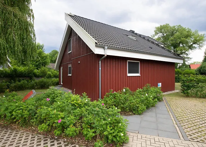 Wildgans Classic 246 Mirow Foto