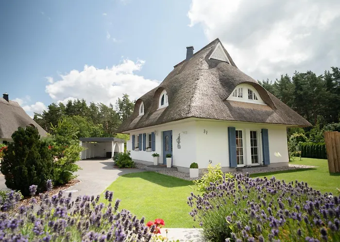 Fuhlendorf  Ferienhaus Haubenlerche 15 תמונה