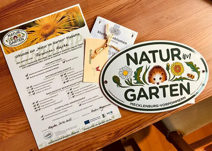 Photo de Ferienhaus Mecklenburgische Seenplatte Mit Ruderboot Riepke