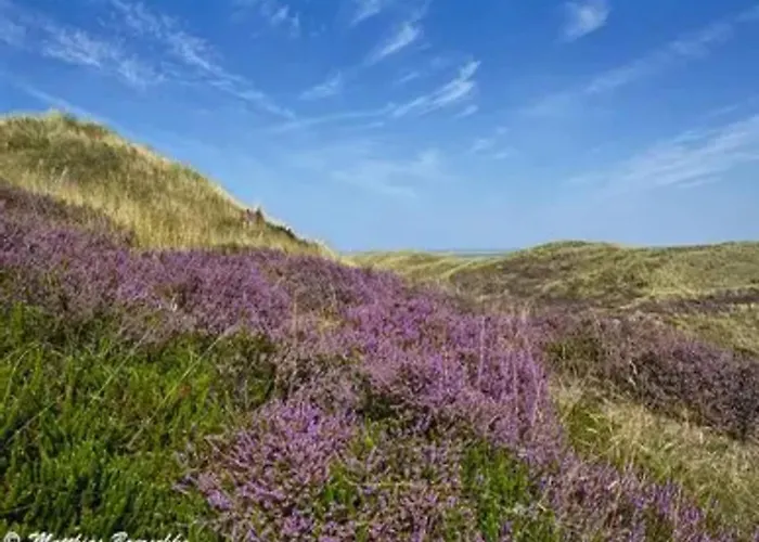Appartements Post Hiddensee, 비테 사진