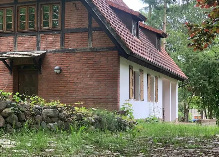 Alleinlage In Der Natur Schönlage fotoğrafı